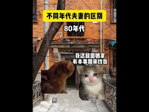 不同年代的婚姻观 有趣 猫meme 猫meme剧场 猫meme小剧场 内容过于真实  故事 貓 猫猫meme小剧场 喵… サムネイル