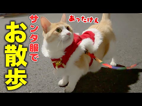 ロビンが極寒の深夜に「散歩に行きたい」と言い出したので、サンタ服を着せて行ったら可愛すぎて最高でした…！！ サムネイル
