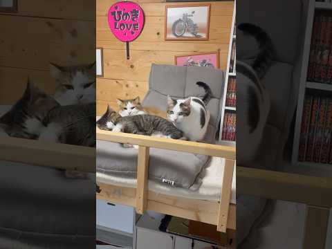 そこ、座りたいなぁ サムネイル