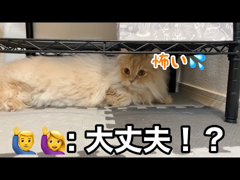 事故が起きました サムネイル