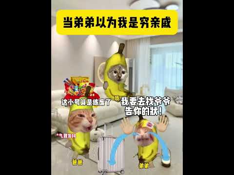 当我有个年龄差距很大的弟弟 有趣 猫meme 猫meme剧场 猫meme小剧场 内容过于真实  故事 貓 猫猫meme… サムネイル