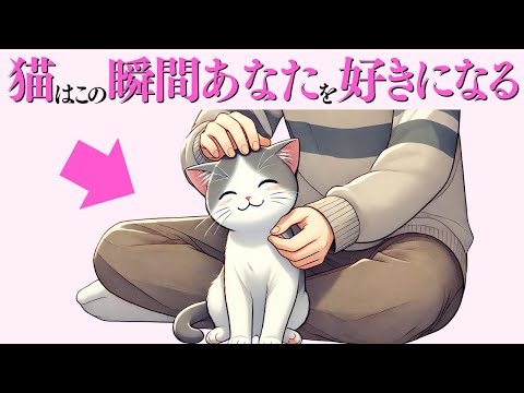 【猫が飼い主を好きになる瞬間】 猫の雑学 猫 ねこ