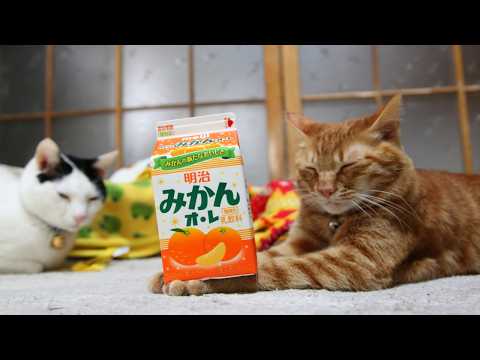 うずまきLIVE配信？　放置？　朝まで？　2026年4月26日 サムネイル