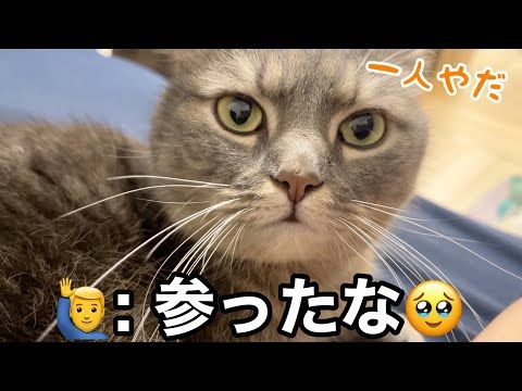 「置いてかないで」パパを追いかけて来た猫が愛おしすぎた…