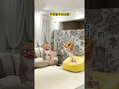升学宴不问分数... 有趣 猫meme 猫meme剧场 猫meme小剧场 内容过于真实  故事 貓 猫猫meme小剧场…