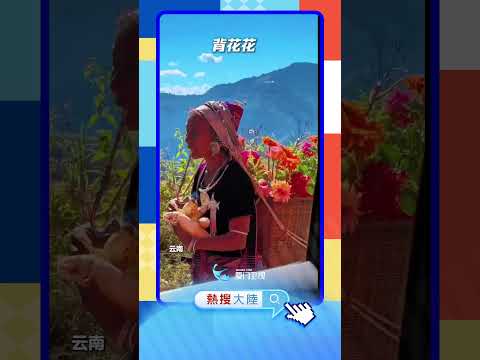 【大陸】明媚又治癒！雲南背花阿婆仿佛從畫中走出 サムネイル