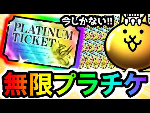 プラチケを引いて引いて引きまくった結果！先に体がぶっ壊れましたwww　にゃんこ大戦争 サムネイル