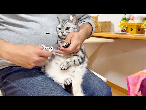2025今年最後のあいちゃんの爪切り。 サムネイル