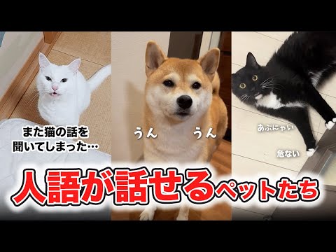 【人化】本当は話せるペットたち！？｜PECO サムネイル