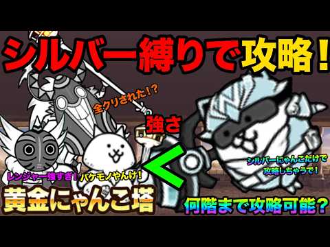 【神回】シルバーにゃんこだけで黄金にゃんこ塔を攻略！シルバーにゃんこで黄金にゃんこ塔の何階まで進めるか検証してみたら面… サムネイル