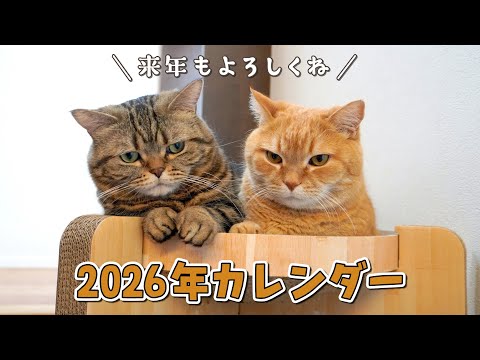 2026年カレンダーの写真を全部見せしちゃいます！