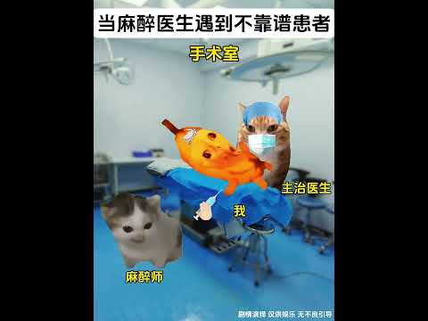 当麻醉医生遇到不靠谱患者 有趣 猫meme 猫meme剧场 猫meme小剧场 内容过于真实  故事 貓 猫猫meme小… サムネイル