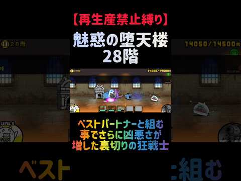 【再生産禁止縛り】スタールがいれば魅惑の堕天楼 28階を出撃３体のみで攻略出来る説 にゃんこ大戦争