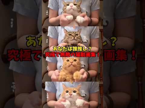 もちろん、箱推しです！