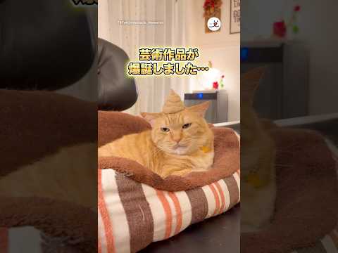 猫の毛で作った芸術作品がこちら|PECO