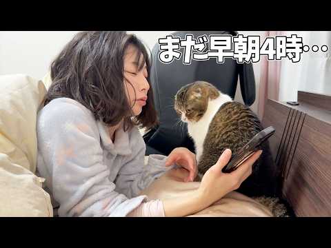 日曜の早朝4時に猫から起こされた結果… サムネイル