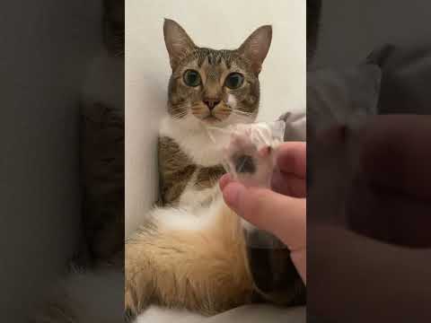 ASMR サムネイル