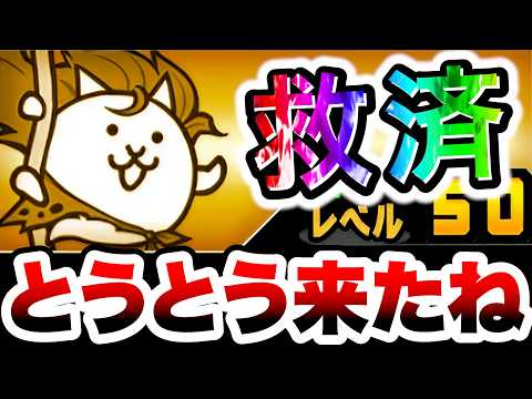 アプデで救済措置きたね〜〜〜(落涙)！！！！！　にゃんこ大戦争 サムネイル