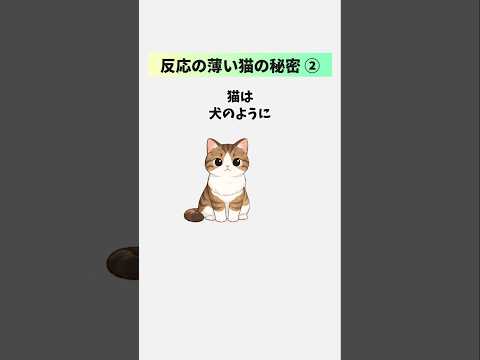 【反応が薄い猫の秘密②】リアクションが少ない猫ほど飼い主を観察している理由  猫 雑学 豆知識 トリビア 音声「VOI… サムネイル