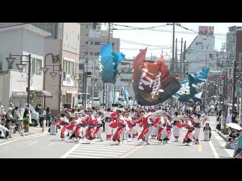 黎霞②＠2026　陣屋通り商店会一周年祭