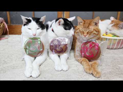 うずまきLIVE配信？　放置？　朝まで？　2026年2月22日