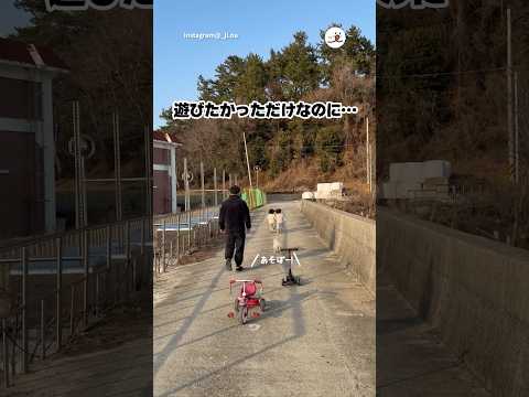 遊びたい子犬｜PECO サムネイル
