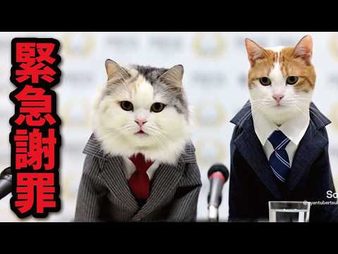 皆様に謝りたいことがございます サムネイル