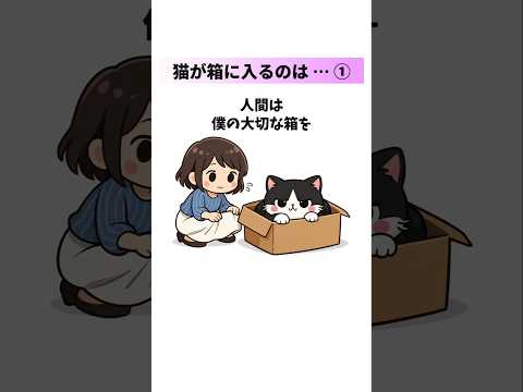 猫が段ボール箱を愛し過ぎる理由① 猫 雑学 豆知識 トリビア 音声「VOICEVOX:ずんだもん」さん サムネイル