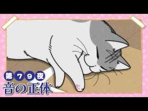 アニメ『夜は猫といっしょ』第79夜「音の正体」【公式】『夜は猫といっしょ』チャンネル