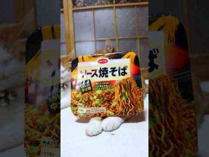 猫動画 | CO・OP ソース焼そば 　250508　#のせ猫　#ねこ #cat #ねこ #ネコ #猫のいる暮らし　#焼きそば #cute #猫のいる生活【YouTubeおすすめ】
