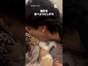 猫動画 | 可愛すぎて食べちゃいたい🤭｜PECO【YouTubeおすすめ】