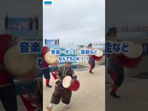 沖縄海洋博公園で楽しむイルカ体験の新しい魅力 – ねこねここねこ