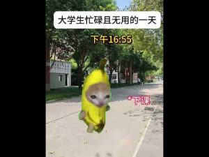 忙しい大学生の日常と可愛い猫ミームを楽しむコンテンツトップ – ねこねここねこ