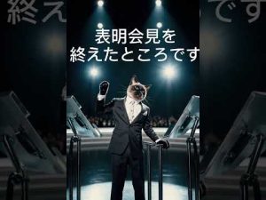 小泉進次郎とシャム猫の癒し動画：笑いとほっこり瞬間 – ねこねここねこ