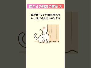 猫の仕草に隠れたコミュニケーションの秘密30選｜知られざる行動の意味を解説 – ねこねここねこ