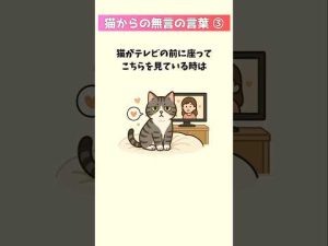猫の行動から学ぶ！隠されたメッセージとその意味30選 – ねこねここねこ