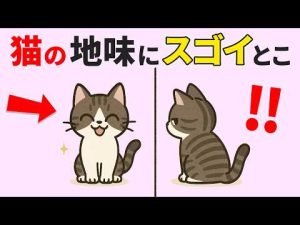 猫の秘密の20技！驚きの賢さと行動の魅力解説 – ねこねここねこ