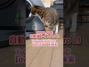 HHOLOVE自動猫トイレPro L1の使い方とアプリ連動の便利さ | おすすめポイント解説 – ねこねここねこ