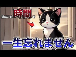 猫の心に残る寂しい瞬間とは？理解と対処のポイント解説 – ねこねここねこ