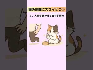 知られざる猫の魅力20選｜意外と知らない豆知識や便利なポイント – ねこねここねこ