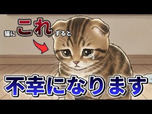 猫の幸せを守る！飼い主が避けたい行動と良い関係の築き方 – ねこねここねこ