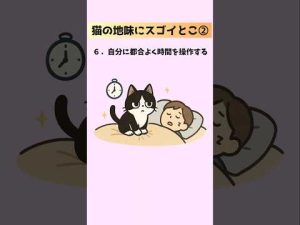 猫の意外な20の豆知識：地味だけど驚きの魅力紹介 – ねこねここねこ