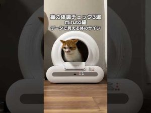 猫の体調変化を見つける3つのポイントとmirutoの活用方法 – ねこねここねこ