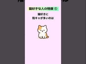 陰キャと猫好きの意外な関係：理由と豆知識を解説 – ねこねここねこ