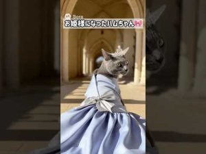 ハムスターがお姫様に!AI技術を使ったかわいいお城散歩動画 – ねこねここねこ