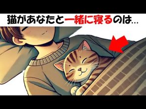 猫の行動背後に潜む魅力と秘密|保護猫の知られざる習性を解説 – ねこねここねこ
