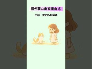 亡くなった猫が夢に現れる理由とその意味解説 – ねこねここねこ