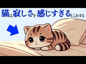猫の寂しさを理解する行動と心理解説｜保護猫のかわいい仕草も紹介 – ねこねここねこ