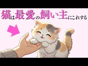 飼い主だけに見せる猫の行動とかわいい瞬間を徹底解説 – ねこねここねこ